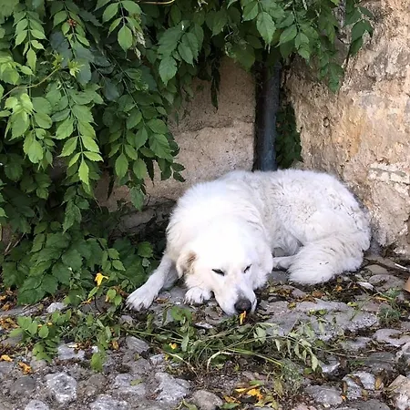 Appartamento Sleeps 4 With Pool
