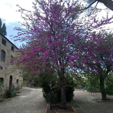 Sleeps 4 With Pool Appartamento